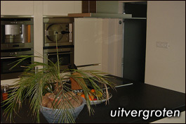 Snaidero keuken geplaatst in Arnemuiden.